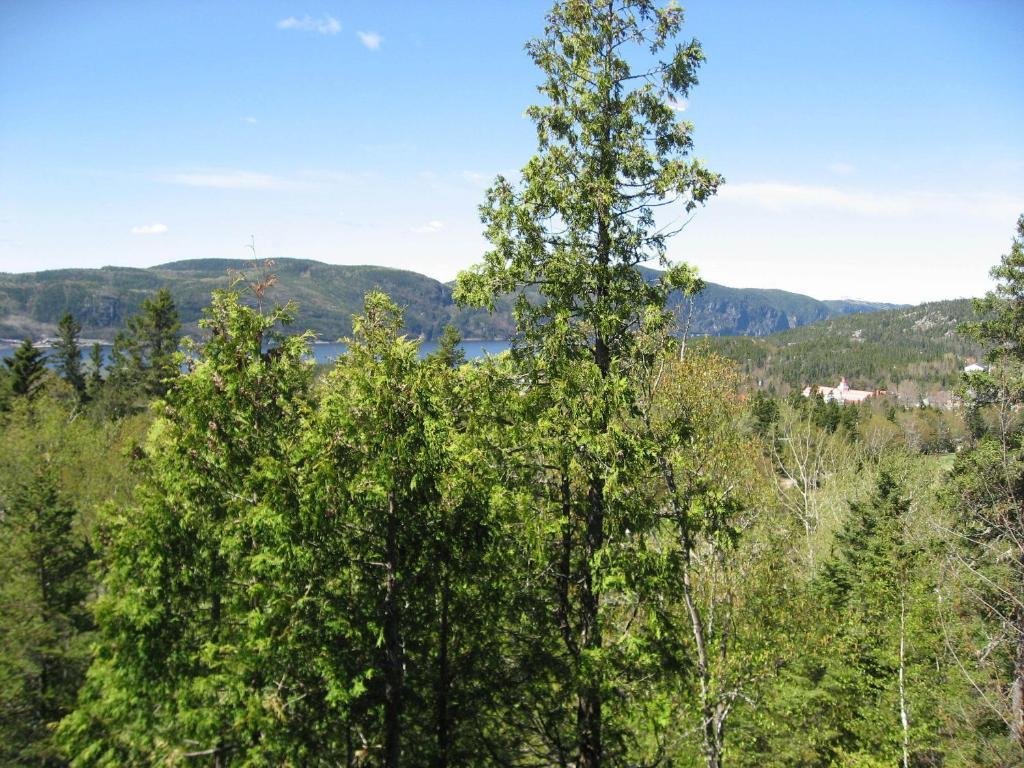 Chalet De La Montagne Villa Tadoussac Exterior photo